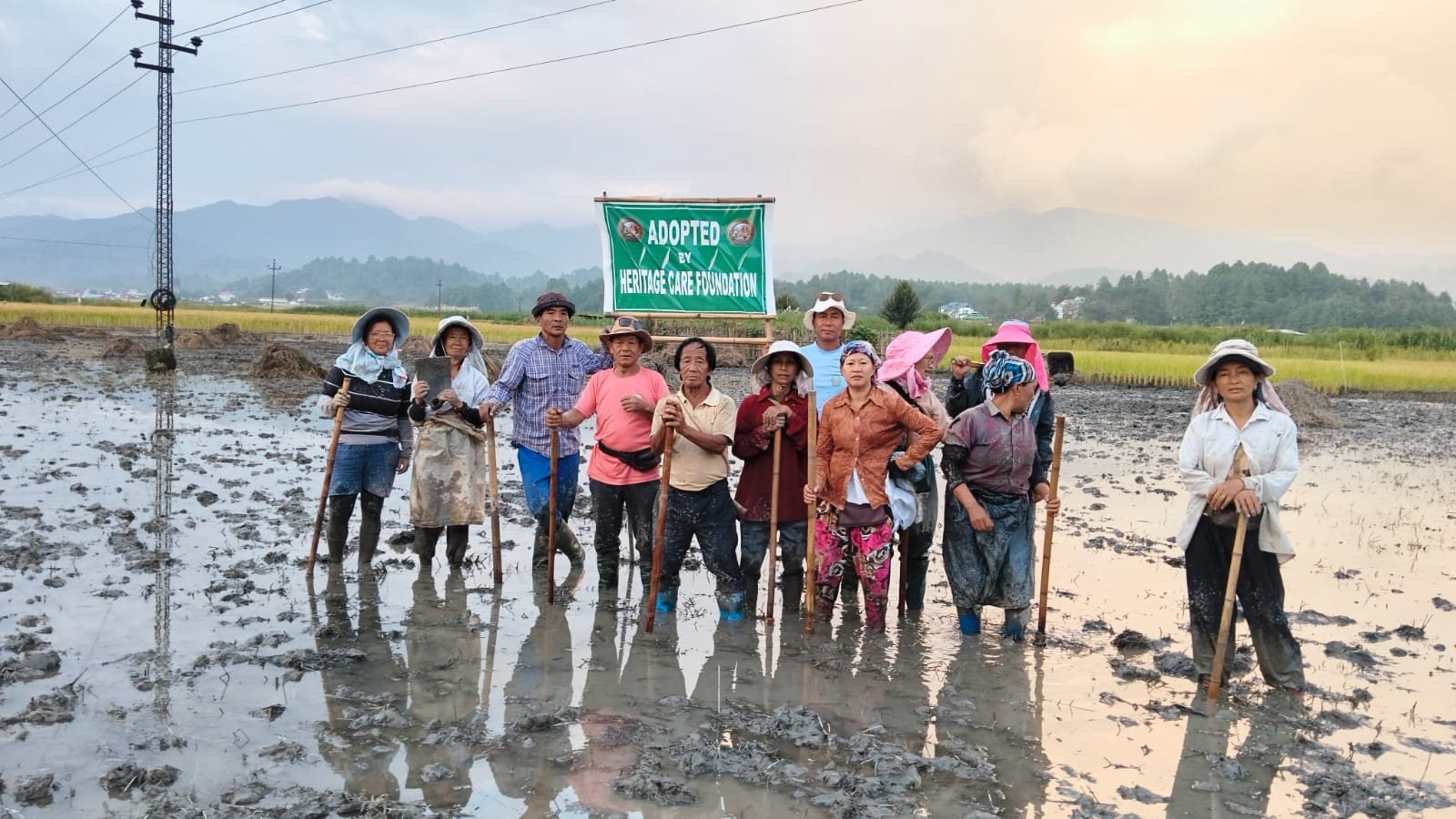 Volunteers standing in a flooded paddy field beside an “Adopted by Heritage Care Foundation” sign
