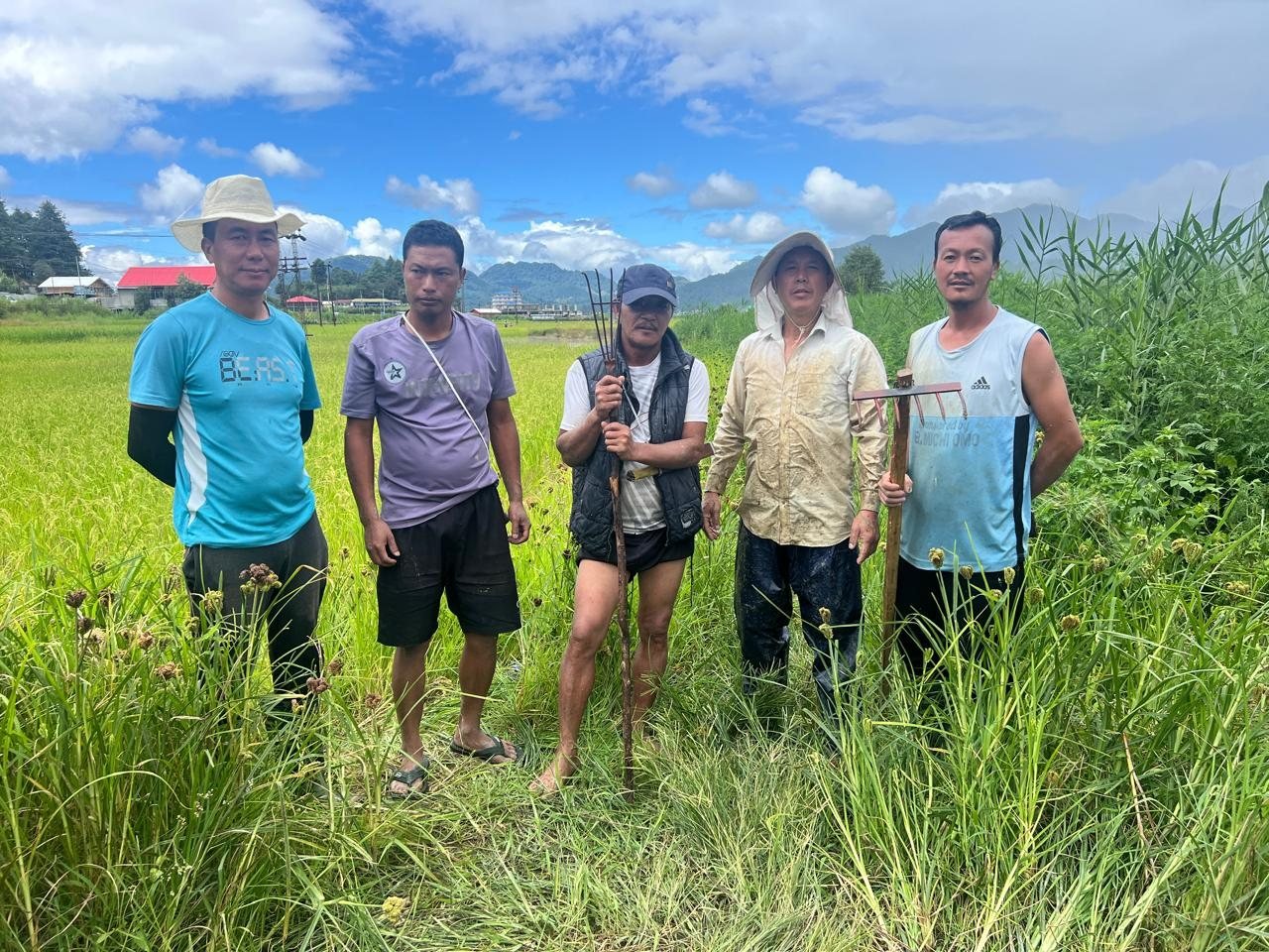 Five foundation members holding farm tools in a tall-grass paddy field
