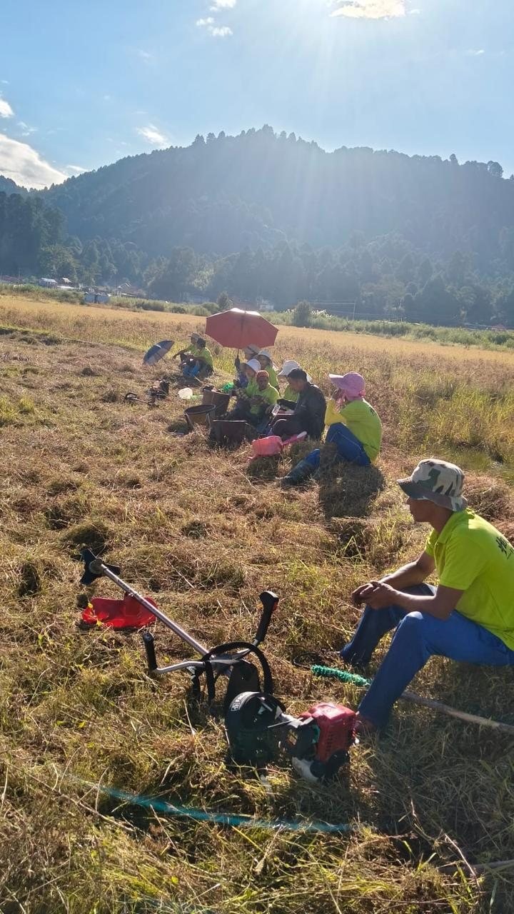Volunteers resting in a harvested field beside a brush cutter